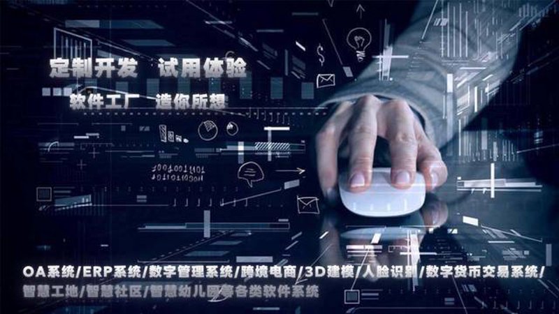 重庆软件开发产业:引领时代的数字脉搏